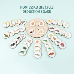 Life Cycle Board Montessori Kit for Kids
