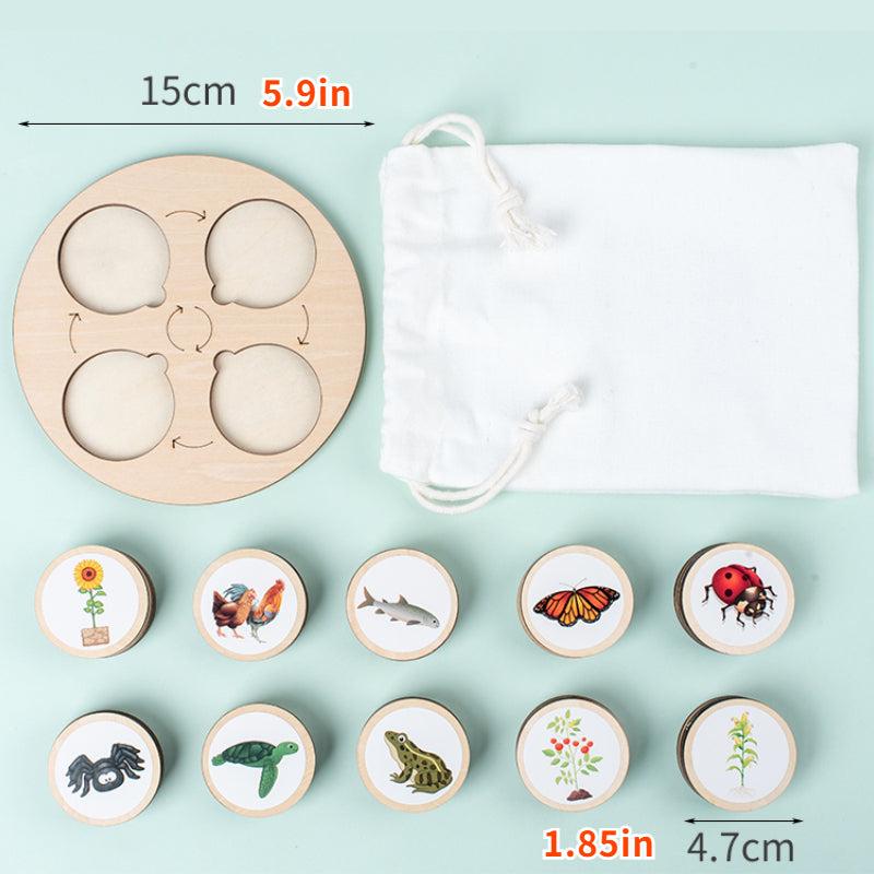 Life Cycle Board Montessori Kit for Kids