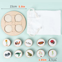 Life Cycle Board Montessori Kit for Kids