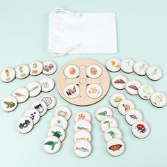 Life Cycle Board Montessori Kit for Kids
