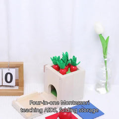 Montessori Early Education Box For Infants, Colorful Toys