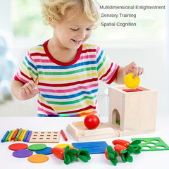 Montessori Early Education Box For Infants, Colorful Toys
