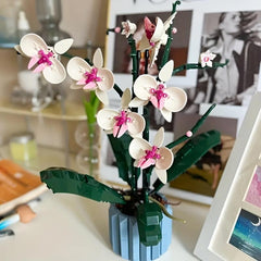 Orchid Flower Succulent Home Decoration Building Blocks Toy