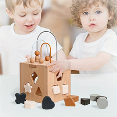 Montessori Hexahedron Toy Geometric Shape Matching