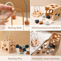 Montessori Hexahedron Toy Geometric Shape Matching