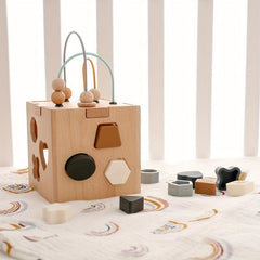 Montessori Hexahedron Toy Geometric Shape Matching