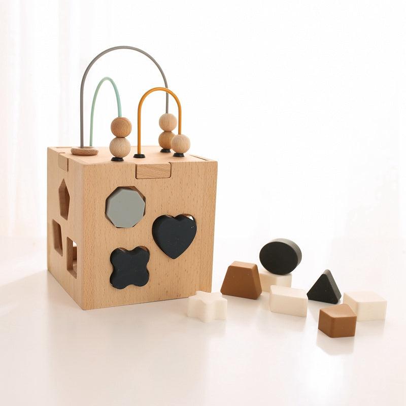 Montessori Hexahedron Toy Geometric Shape Matching