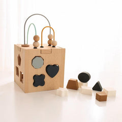 Montessori Hexahedron Toy Geometric Shape Matching