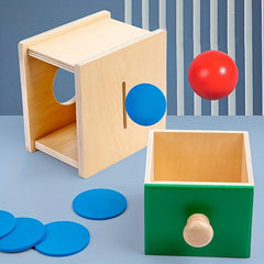 Montessori Wooden Coin Ball Box Educational Toy