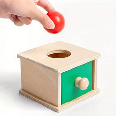 Montessori Wooden Coin Ball Box Educational Toy