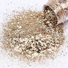 10ml Champagne Silver Mixed Purple Nail Powder Kit Art