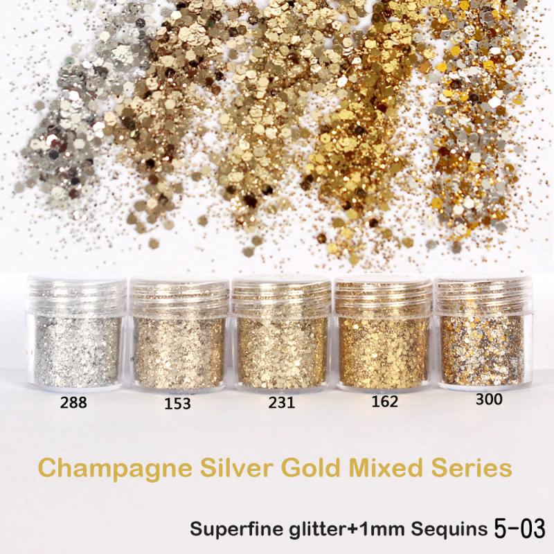 10ml Champagne Silver Mixed Purple Nail Powder Kit Art