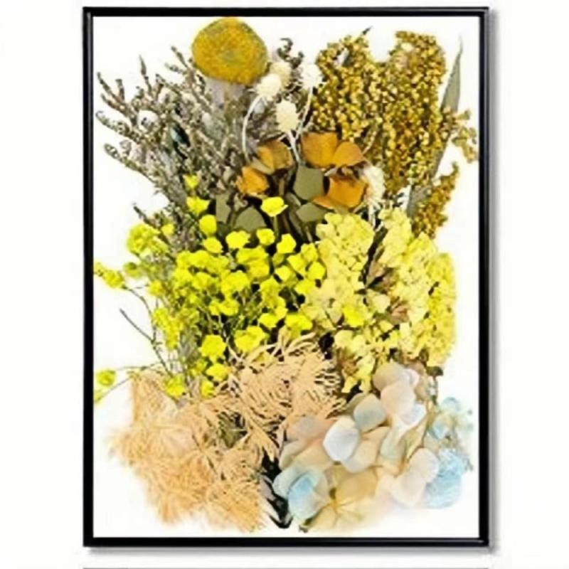 Real Dried Pressed Leaf Flowers Colorful Daisies Craft Resin Jewelry DIY