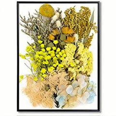 Real Dried Pressed Leaf Flowers Colorful Daisies Craft Resin Jewelry DIY
