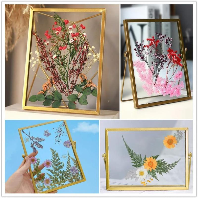 Real Dried Pressed Leaf Flowers Colorful Daisies Craft Resin Jewelry DIY