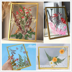 Real Dried Pressed Leaf Flowers Colorful Daisies Craft Resin Jewelry DIY