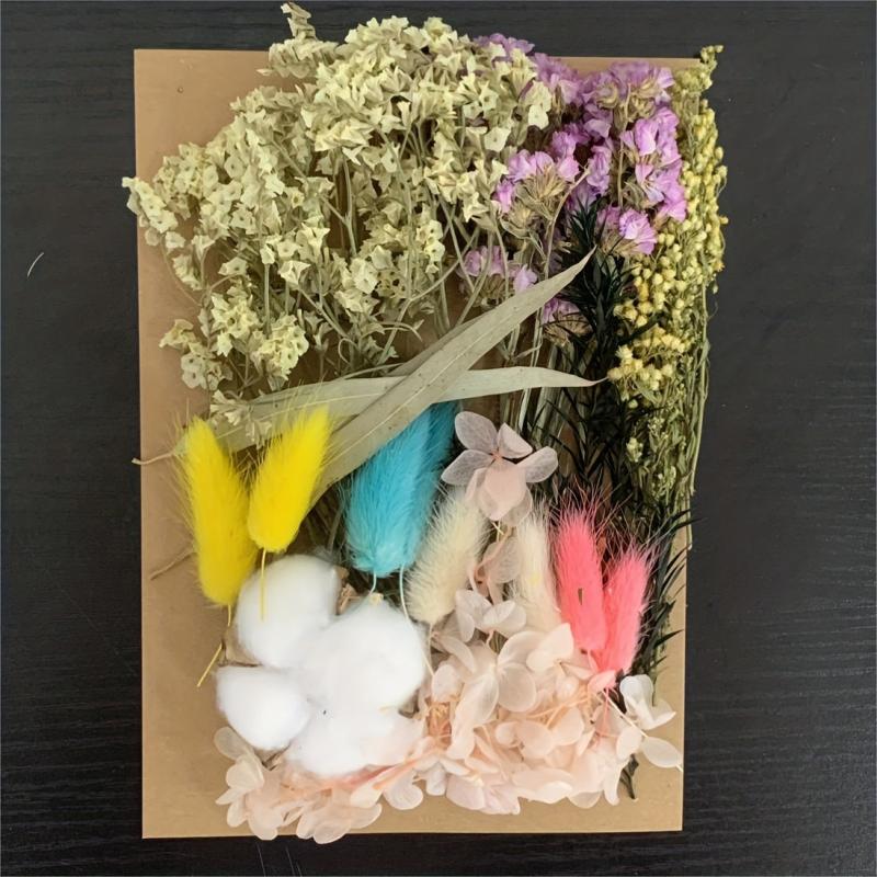 Real Dried Pressed Leaf Flowers Colorful Daisies Craft Resin Jewelry DIY
