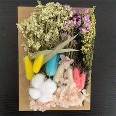 Real Dried Pressed Leaf Flowers Colorful Daisies Craft Resin Jewelry DIY