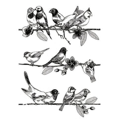 Bird Clear Stamp On Branch For Card Making Decoration DIY Scrapbook