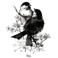 Love Birds Flowers Clear Stamps for Card Making Scrapbooking DIY Decor