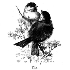 Love Birds Flowers Clear Stamps for Card Making Scrapbooking DIY Decor