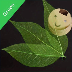 20pcs Natural Dried Leaves Crafting Scrapbooking
