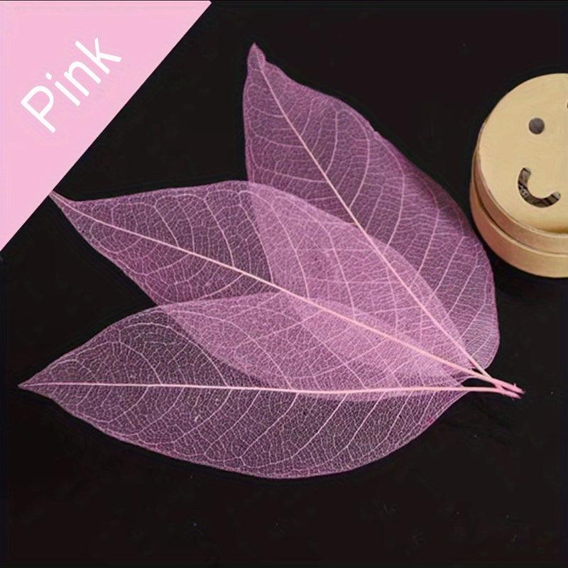 20pcs Natural Dried Leaves Crafting Scrapbooking