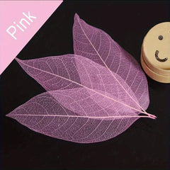 20pcs Natural Dried Leaves Crafting Scrapbooking