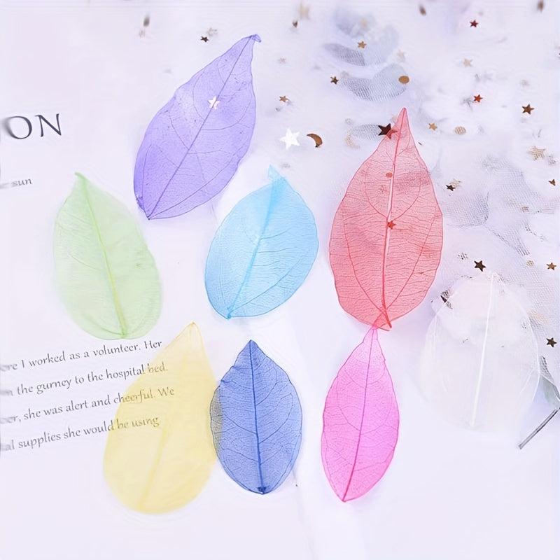 20pcs Natural Dried Leaves Crafting Scrapbooking