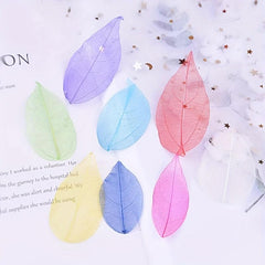 20pcs Natural Dried Leaves Crafting Scrapbooking