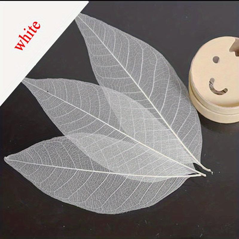 20pcs Natural Dried Leaves Crafting Scrapbooking