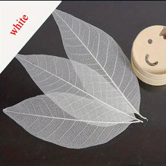 20pcs Natural Dried Leaves Crafting Scrapbooking