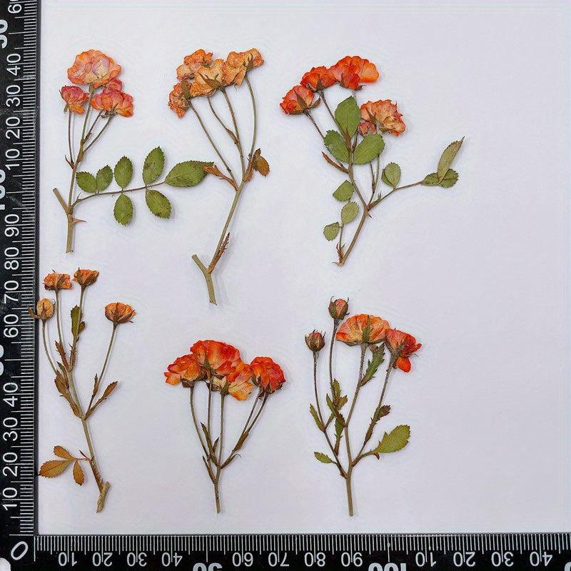 12pcs Rose Dry Embossing Resin Kit for DIY Art & Cake Decoration
