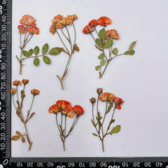 12pcs Rose Dry Embossing Resin Kit for DIY Art & Cake Decoration
