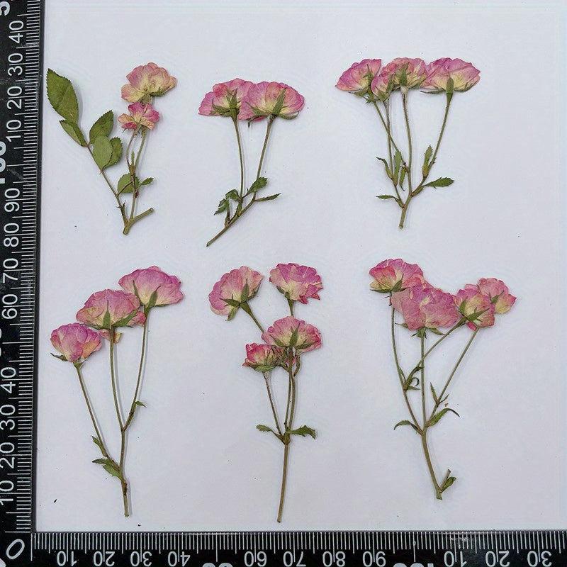 12pcs Rose Dry Embossing Resin Kit for DIY Art & Cake Decoration