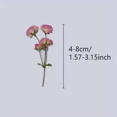 12pcs Rose Dry Embossing Resin Kit for DIY Art & Cake Decoration