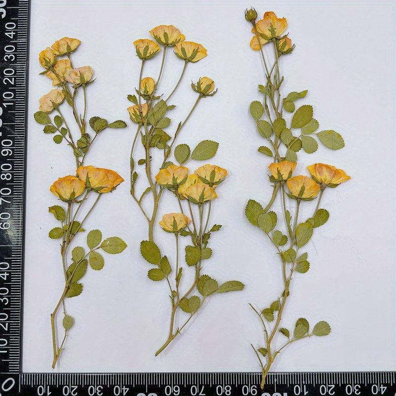 12pcs Rose Dry Embossing Resin Kit for DIY Art & Cake Decoration