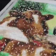 DIY Diamond Painting Kit for Home Decor