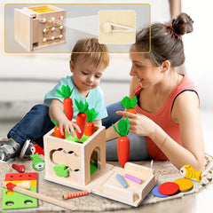 Wooden Montessori Toy Carrot Shape Matching Cognition Puzzle Sensory Toy