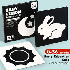 High Contrast Visual Cards for Infant Brain Development
