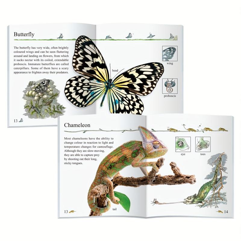 10 Encyclopedia Early Education Booklets - 24 Pages Each