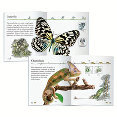 10 Encyclopedia Early Education Booklets - 24 Pages Each