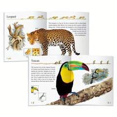 10 Encyclopedia Early Education Booklets - 24 Pages Each