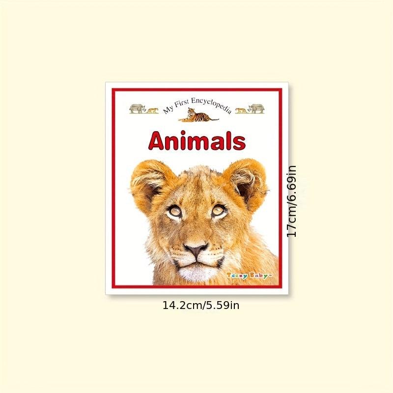 10 Encyclopedia Early Education Booklets - 24 Pages Each
