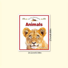 10 Encyclopedia Early Education Booklets - 24 Pages Each