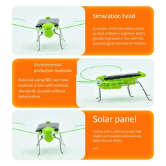 Solar Powered Grasshopper Toy - Fun Science Learning Gift for Kids