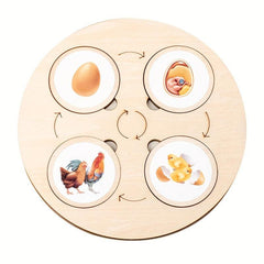 Montessori Circulation Life Cycle Toy Tray Puzzle Educational Toy