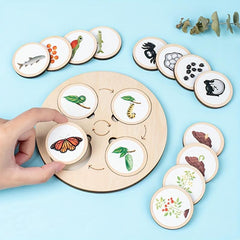Montessori Circulation Life Cycle Toy Tray Puzzle Educational Toy
