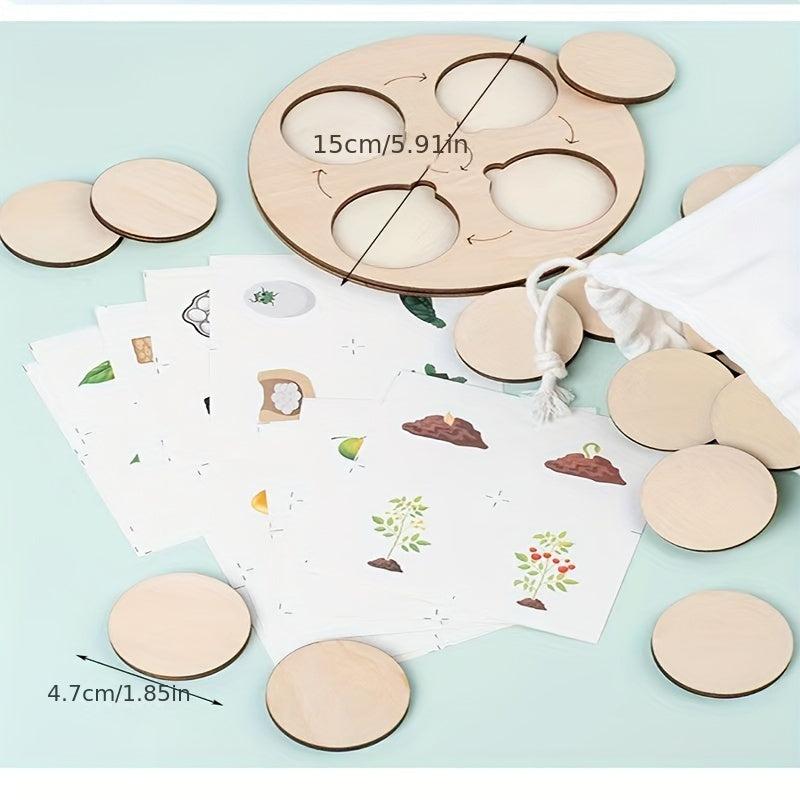 Montessori Circulation Life Cycle Toy Tray Puzzle Educational Toy