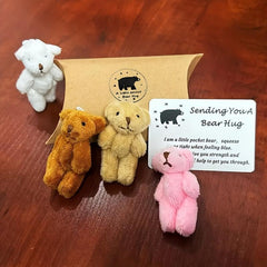 Mini Plush Stuffed Bears - Pocket Hug Token - Long Distance Relationship Gift